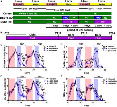 Time-restricted feeding ameliorates dextran sulfate sodium-induced colitis via reducing intestinal inflammation